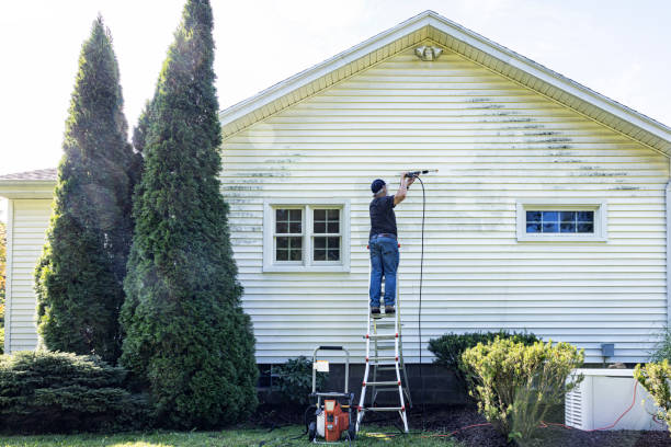 Best Soft Washing for Delicate Surfaces in Rochester, IL